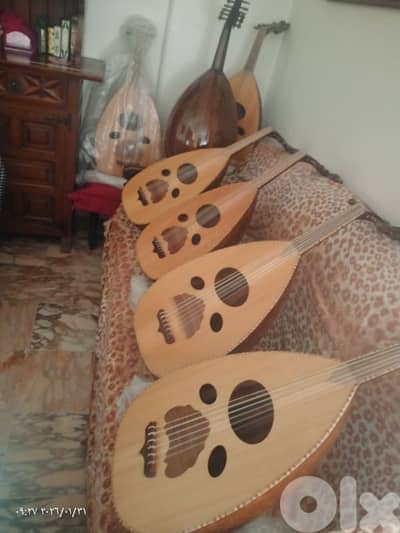 عود من أهم وأفضل الاعواد التعليمية للتدريب ولبداية صحية بأسعار مناسبة