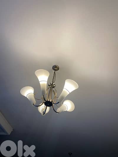 ثرية بحالة ممتازة