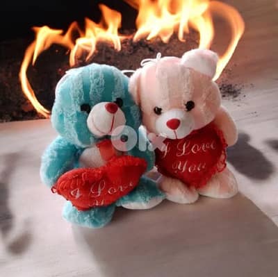 45cm care beer plush couple