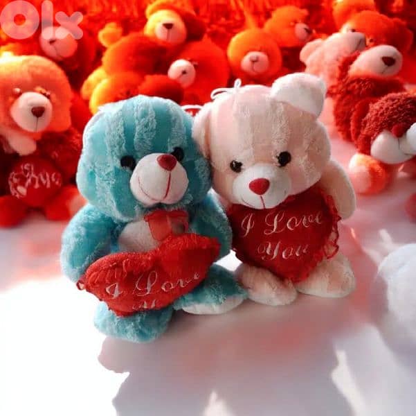 45cm care beer plush couple 1