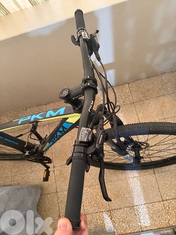 pkm mountain bike 1