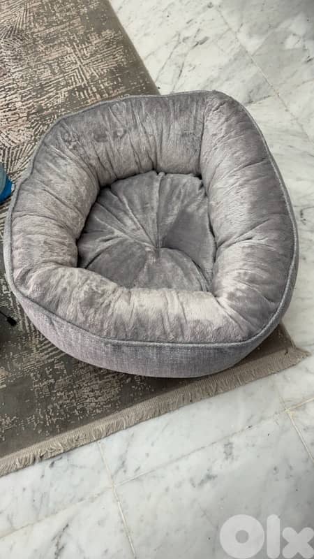 Puppy Care Package 6