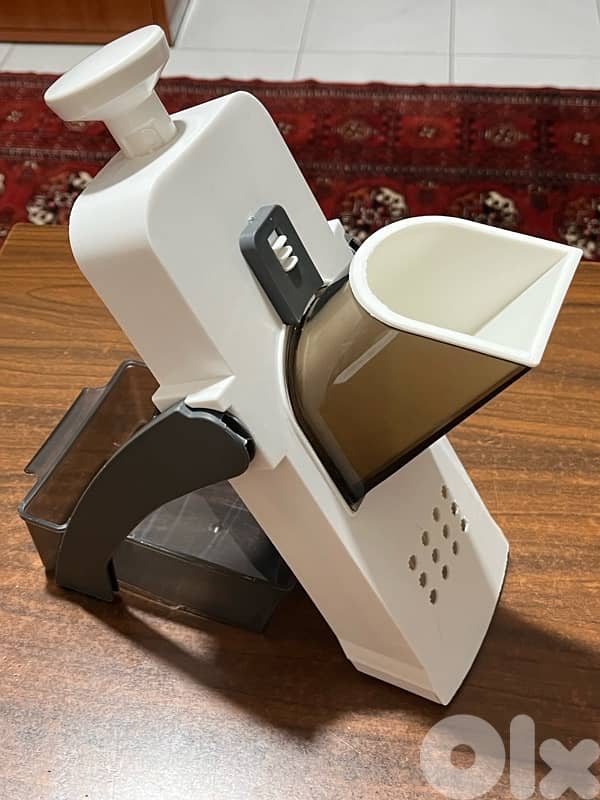 fruits and veggies chopper 1