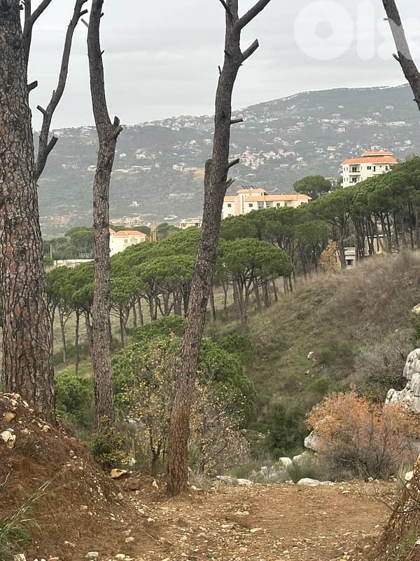 Two lands 850m&950m zone 30/90 four floor building Badghan Sawfar 1