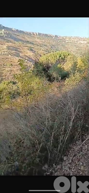 9000m Land agriculture or Touristic use Sharoon Valley Below Sawfar 3