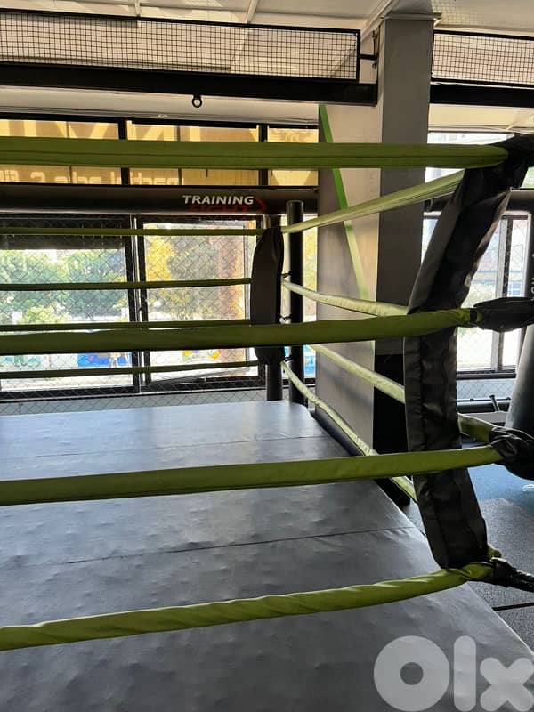 2 Boxing ring Muay Thai kickboxing marital arts 2