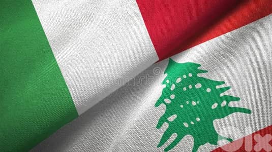 Homework & Italian Language Help Available