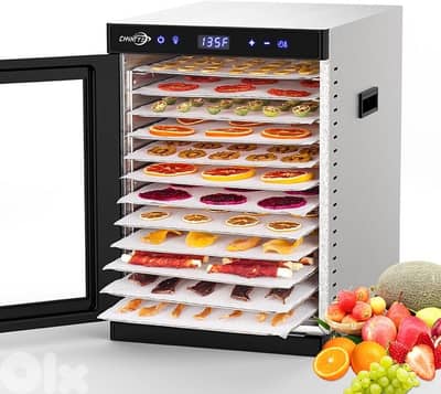 مشروع فواكه مجففة