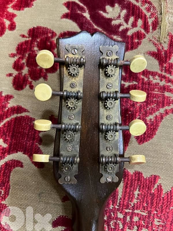 a vintage mandolin 3