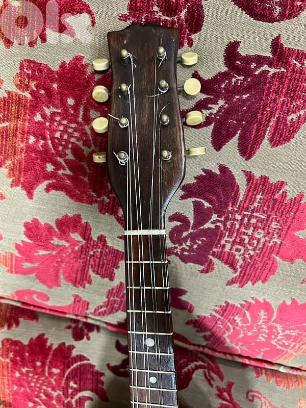 a vintage mandolin 4