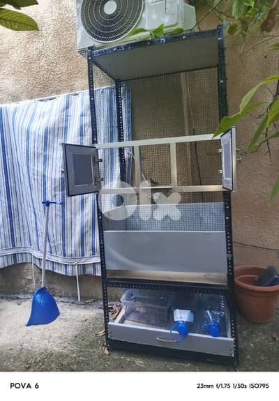 مطير عصافير