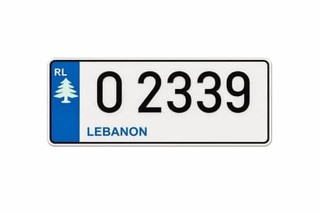 4 digits plate number