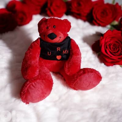 50cm Bear plush love box