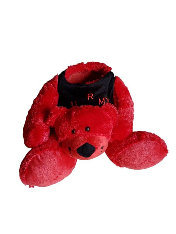 50cm Bear plush love box 2