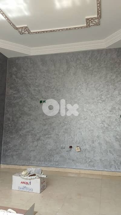 ديكورات دهان داخليه