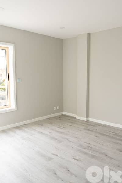 ديكورات دهان داخليه