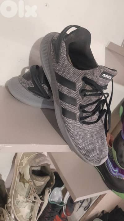 Adidas the original shoes