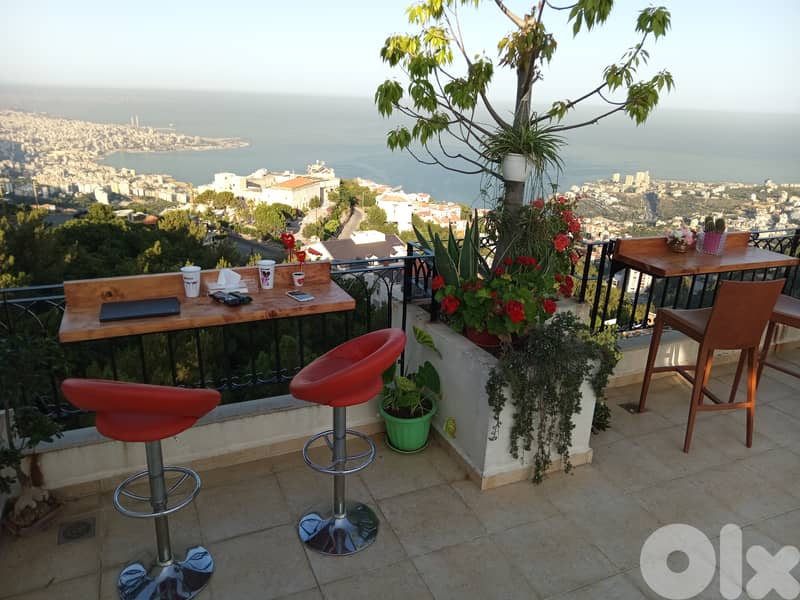 Arcadia guesthouse "Adonis" in Ghazir 9