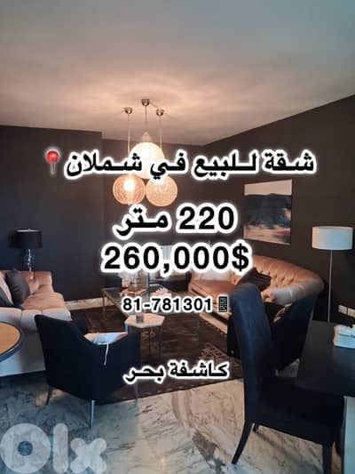 Apartment for sale in chamlan-aley / شقة للببع شملان- عليه
