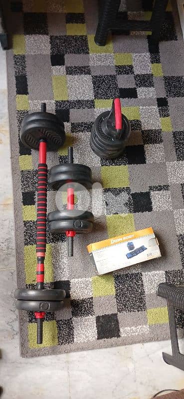 gym weights & bench