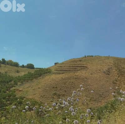 Land for Sale in Aakoura
