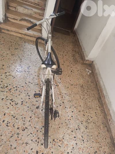 الشياح مارون مسك