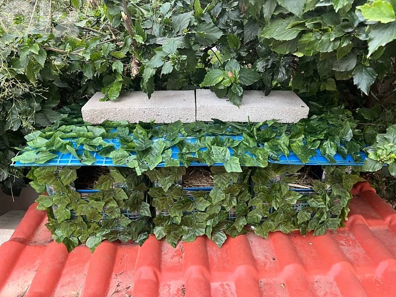 Outdoor Cat House Waterproof amazing idea !! 9