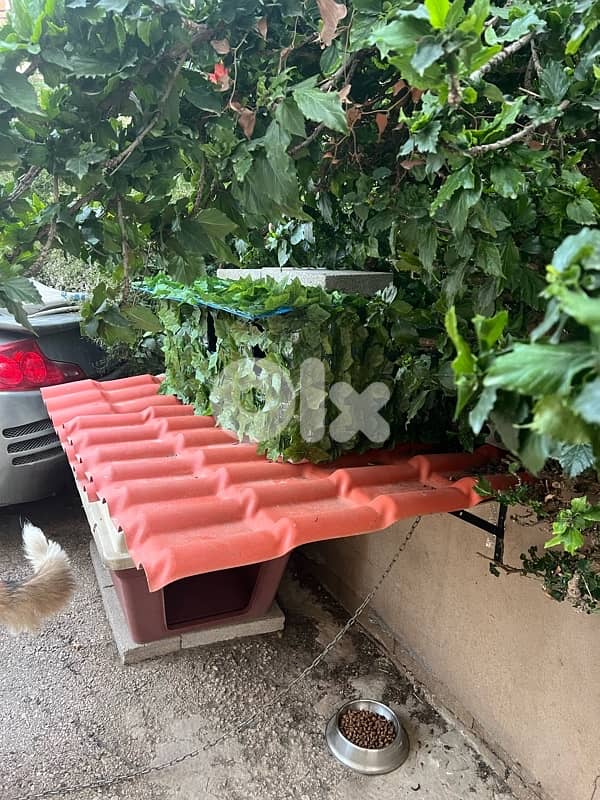 Outdoor Cat House Waterproof amazing idea !! 11