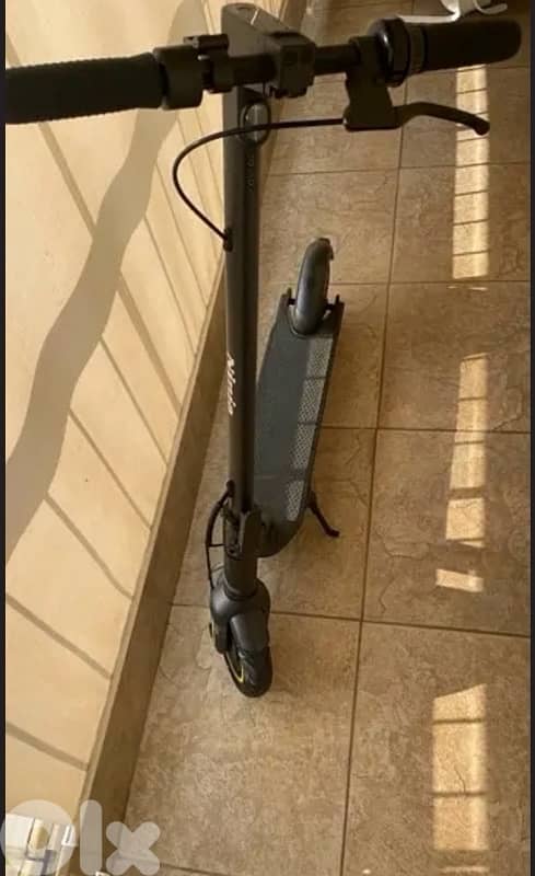 Electronic scooter 500w 1