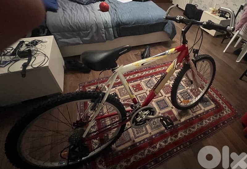 Bicycle, Badger Strike 24 2