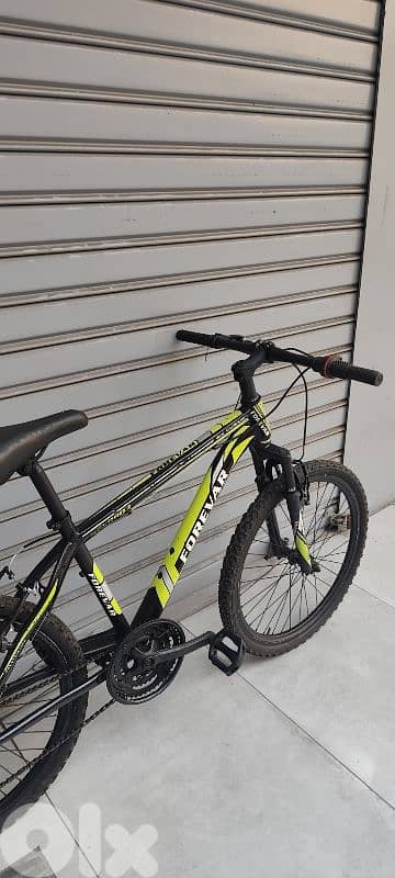 forever bicycle 24 1