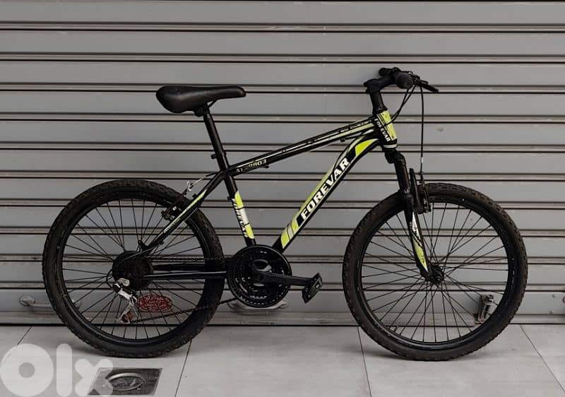 forever bicycle 24 2