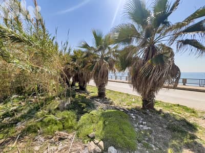Seafront Boulevard Land in Amchit - أرض استثمارية على بولفار عمشيت