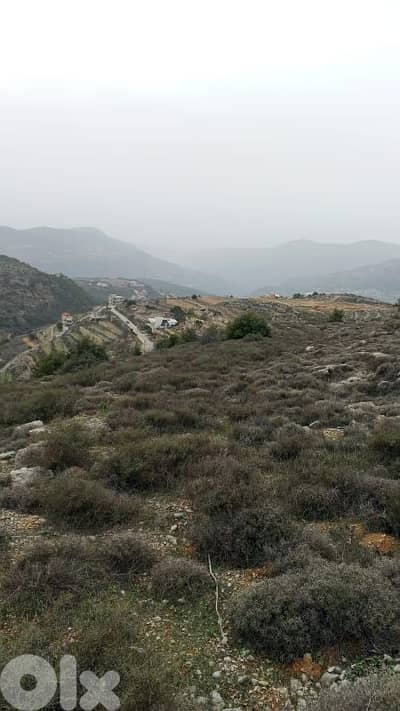 أرض للبيع في كفرنيس الشوف land for sale in shouf