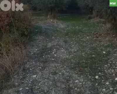 Agricultural Land –Ras Nahash , Ras Nahash /رأس نحّاش REF#MW132214