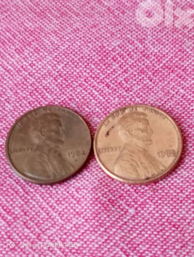 جل الديب المتن