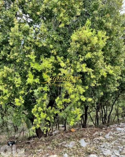 Land for Sale – Ain El Qach / Bikfaya – SGTJ130