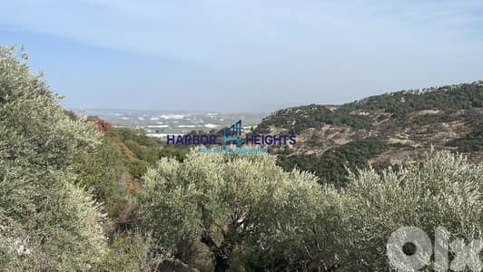 Land for sale in Helta, Batroun أرض للبيع في حلتا، البترون