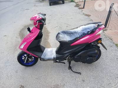 موتسيك نحلي عزو ٢٠٢٣