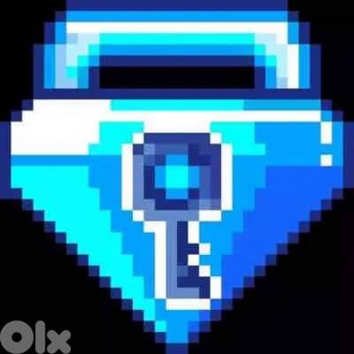 Blue Gem lock (BGL)