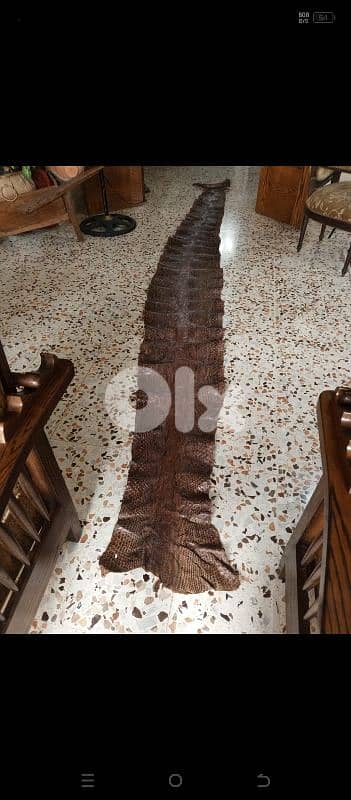 anaconda 410 meters the biggest and huge size still new