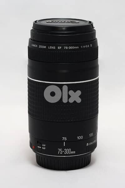 lens 75-300 for sale