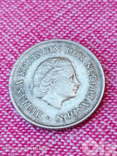 جل الديب المتن