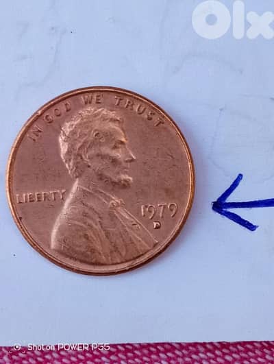 جل الديب المتن