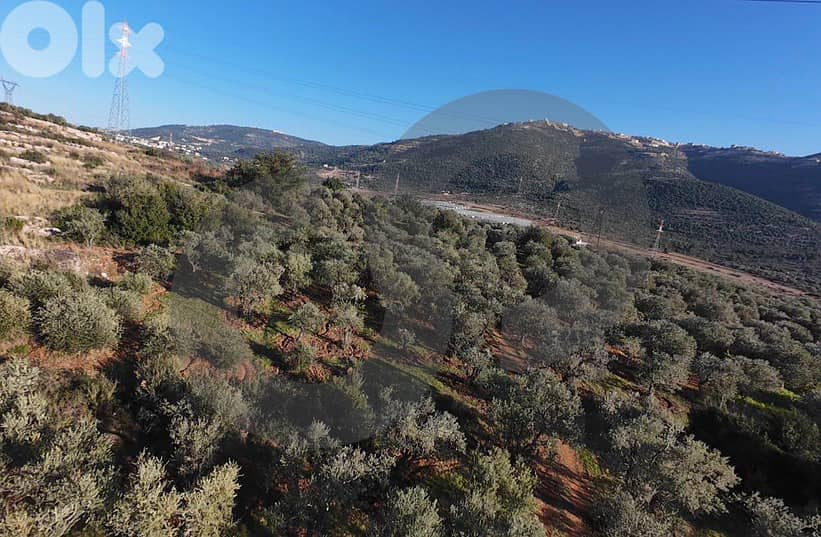 LAND/ Zgharta/زغرتا! REF#YN132295 ! 1