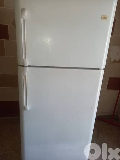 صيدا دوار الاميركان