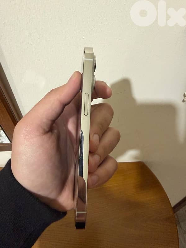 iPhone 13 Pro 256 Gb 3