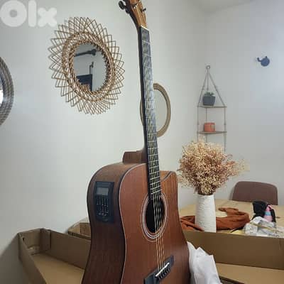 guitar electro accoustic