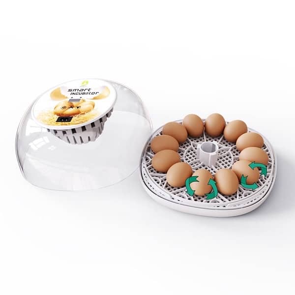 M12 Home Egg Incubator – 12 Chicken / Duck Eggs (Pet Use) 1