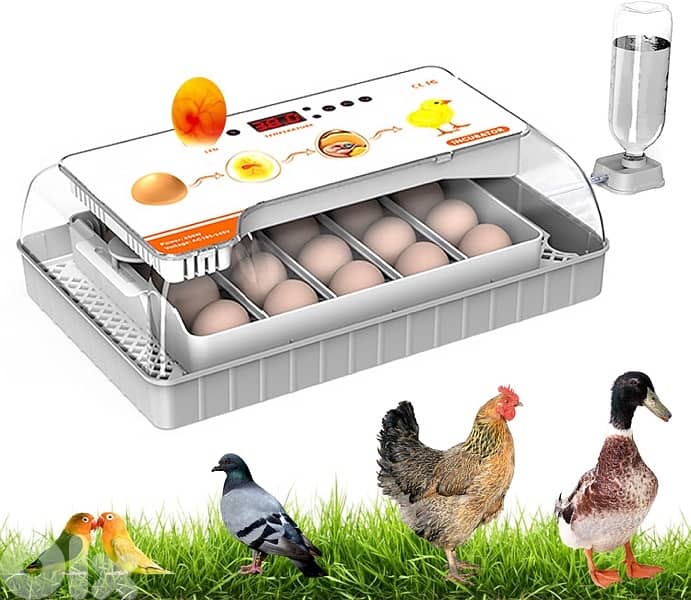 20 Home Egg Incubator – 20 Chicken / Duck Eggs (Pet Use) 1